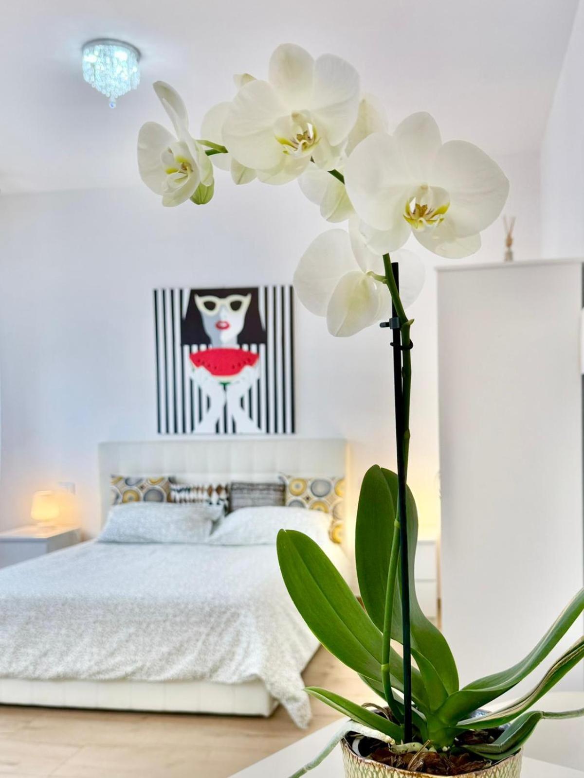 Apartament Travel Fiera Bolonia Zewnętrze zdjęcie